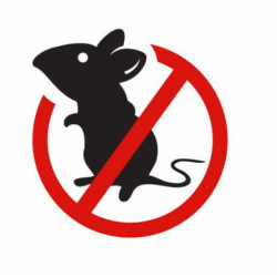 souris