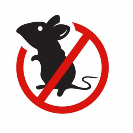 souris